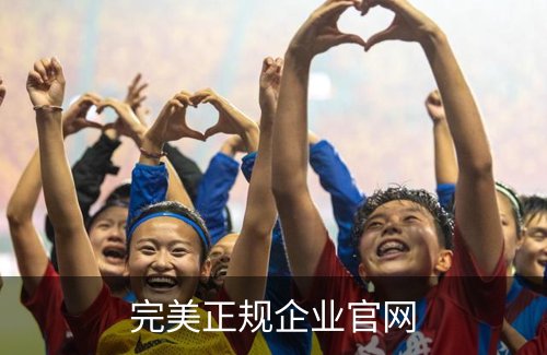 完美正规企业官网概况